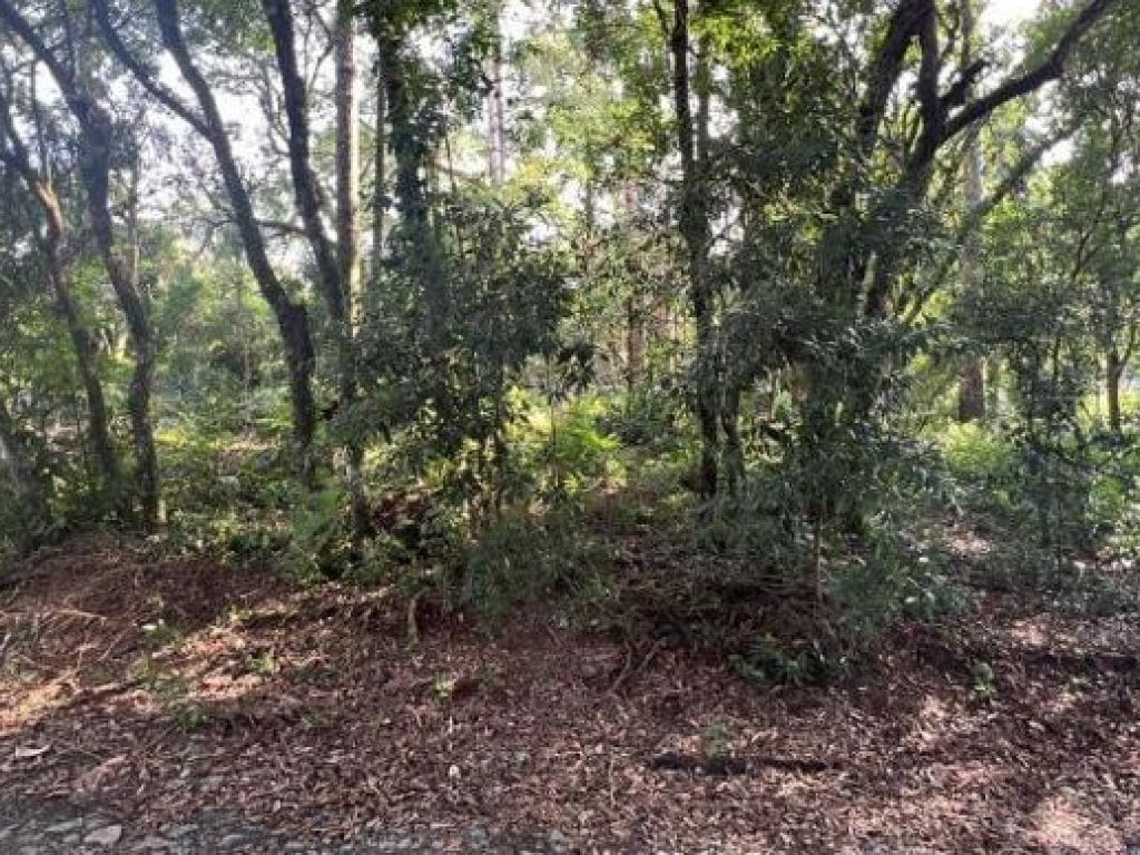 Terreno 1.136 m² - Prudentópolis-PR - Rua Marginal do Rio Caxim - Lt. 14 da Qd. Única - Lubina Tarasczuk