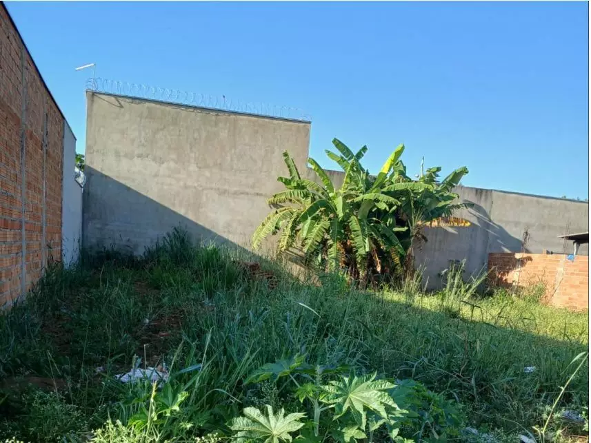 Terreno à venda em leilão