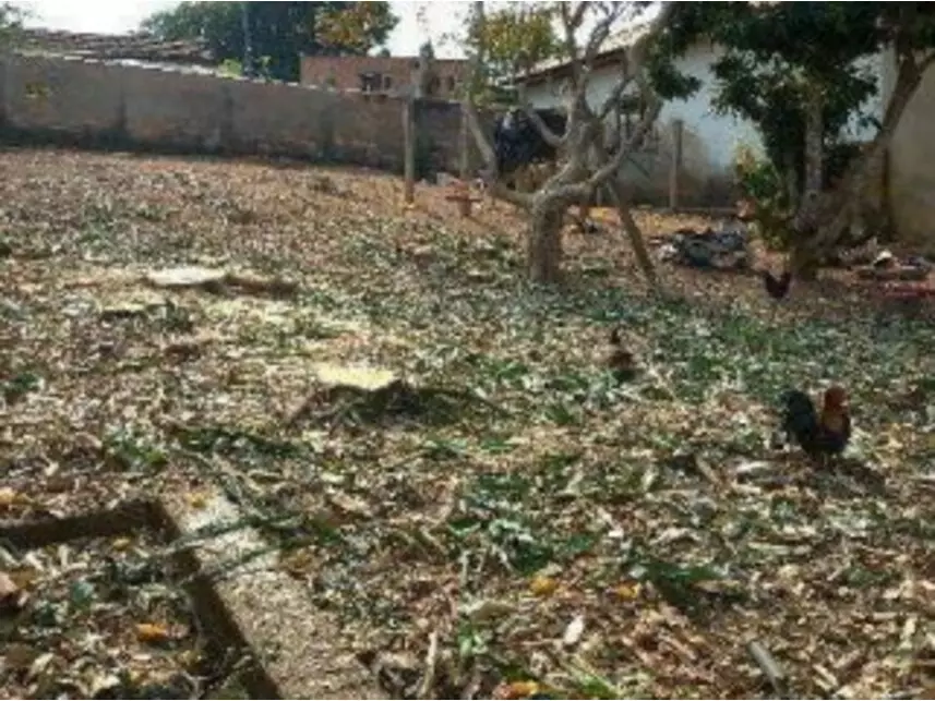 Terreno à venda em leilão