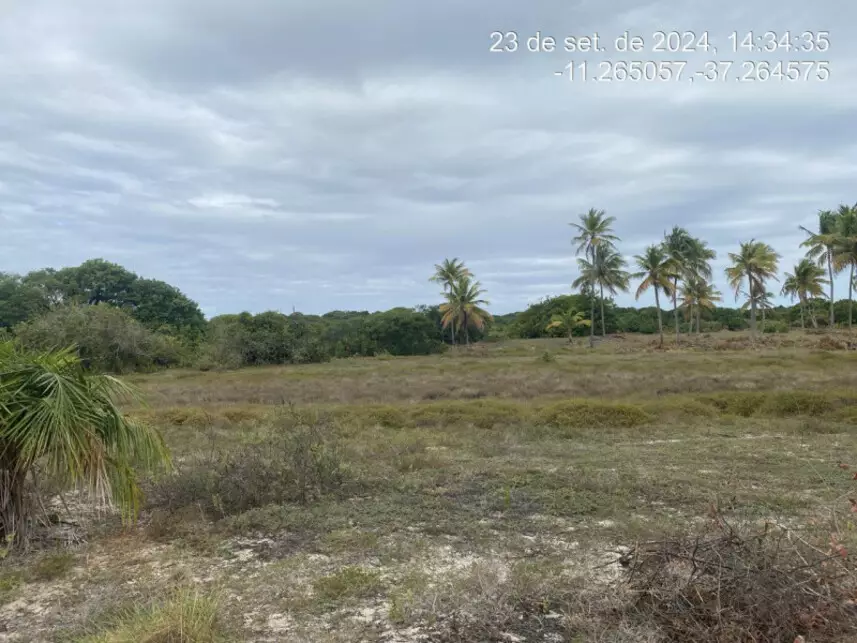 Terreno à venda em leilão