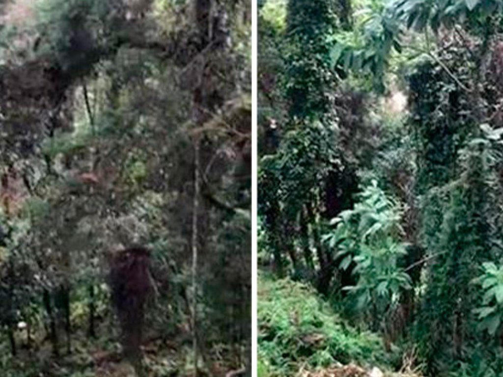Área com 3.750 m² - Jardim das Pérolas - Campos do Jordão - SP