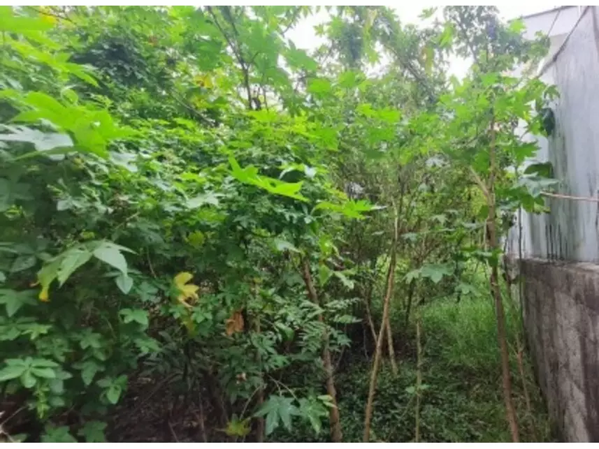 Terreno à venda em leilão