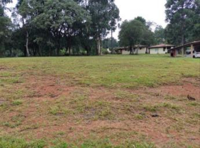 Terrenos Urbanos