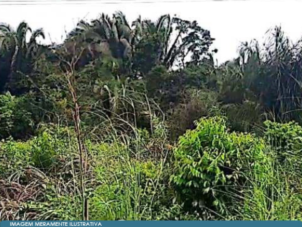 Imóvel Rural 1 ha - Turiaçu - MA